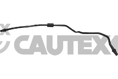 Radiator Hose (775513)