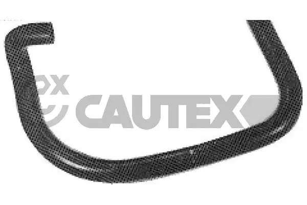 Radiator Hose (036211)