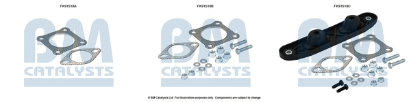 Mounting Kit, catalytic converter (FK91518)