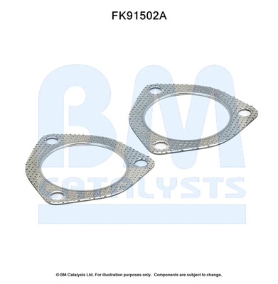 Mounting Kit, catalytic converter (FK91502)