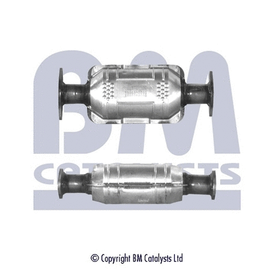 Catalytic Converter (BM90049H)