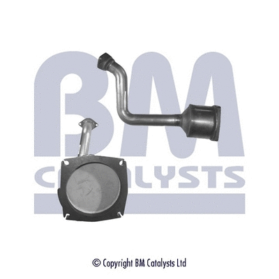 Catalytic Converter (BM80256H)