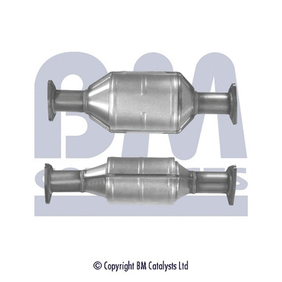Catalytic Converter (BM90066)