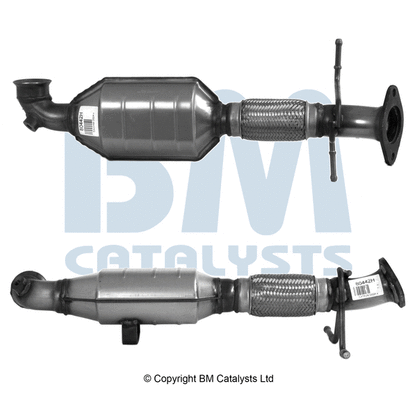 Catalytic Converter (BM80442H)