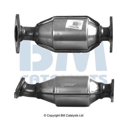 Catalytic Converter (BM92050H)