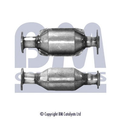 Catalytic Converter (BM80010H)
