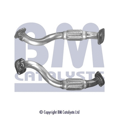 Exhaust Pipe (BM50220)