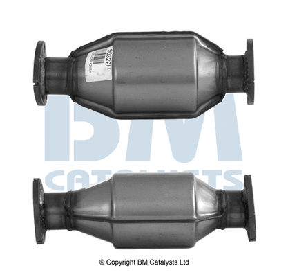Catalytic Converter (BM90322)