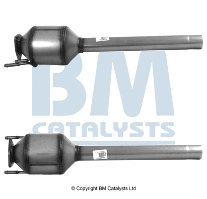 Catalytic Converter (BM80365H)