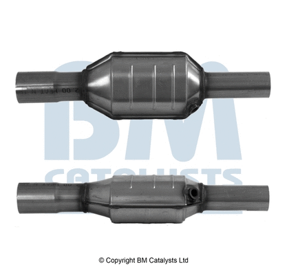 Catalytic Converter (BM90169H)