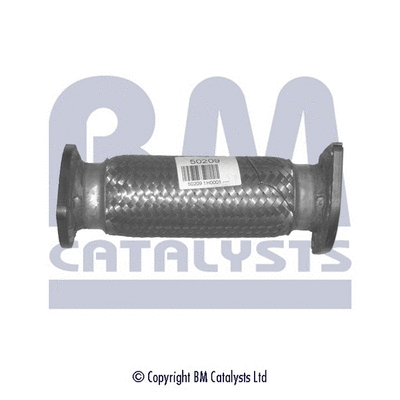 Exhaust Pipe (BM50209)
