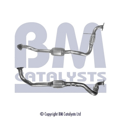 Catalytic Converter (BM80203H)