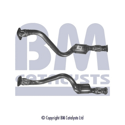 Catalytic Converter (BM80234H)