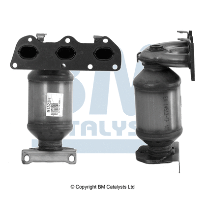 Catalytic Converter (BM91323H)