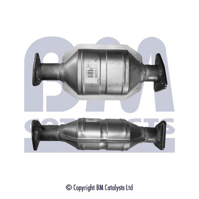 Catalytic Converter (BM80289H)
