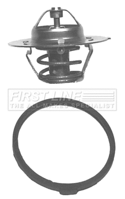 Thermostat, coolant (FTK048)