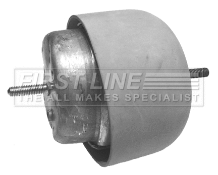 Mounting, engine (FEM3171)