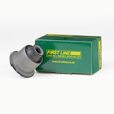 Mounting, control/trailing arm