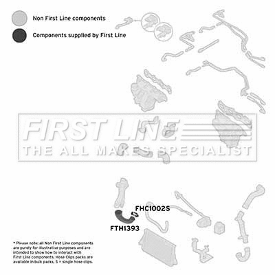 Charge Air Hose (FTH1393)