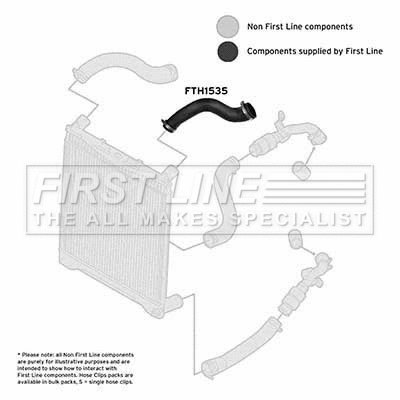 Charge Air Hose (FTH1535)