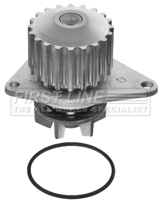 Water Pump, engine cooling (FWP1172)