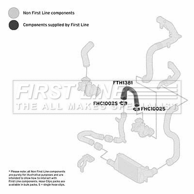 Charge Air Hose (FTH1381)