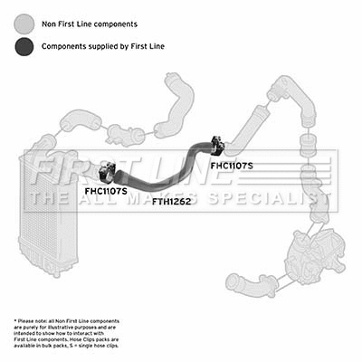 Charge Air Hose (FTH1262)