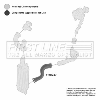 Charge Air Hose (FTH1237)