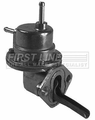 Fuel Pump (FFP435)