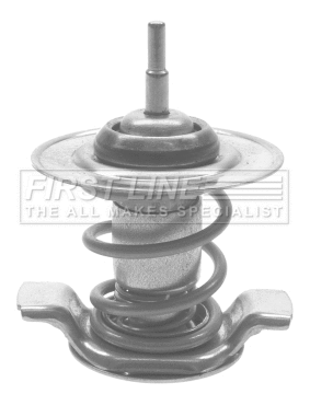 Thermostat, coolant (FTS425.92)