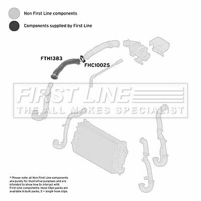 Charge Air Hose (FTH1383)