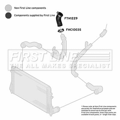 Charge Air Hose (FTH1229)
