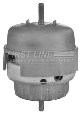 Mounting, engine (FEM4289)
