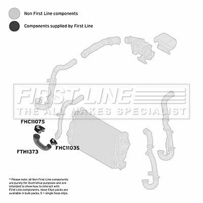 Charge Air Hose (FTH1373)