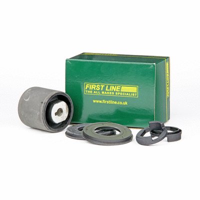 Mounting, control/trailing arm