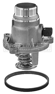 Thermostat, coolant (FTK286)