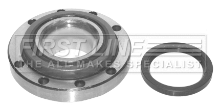 Wheel Bearing Kit (FBK176)