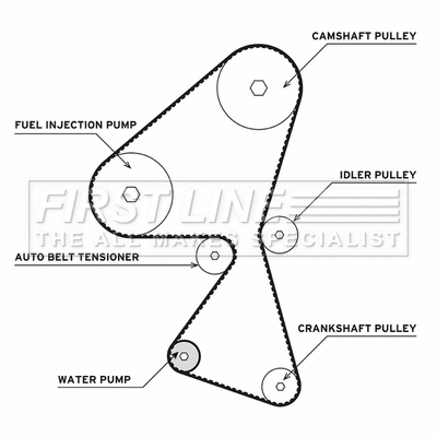 Water Pump & Timing Belt Kit (FTW1002)