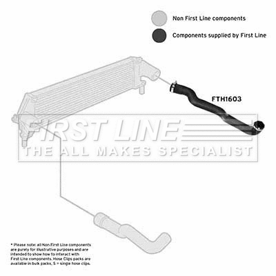 Charge Air Hose (FTH1603)