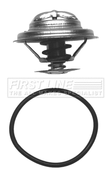 Thermostat, coolant (FTK014)