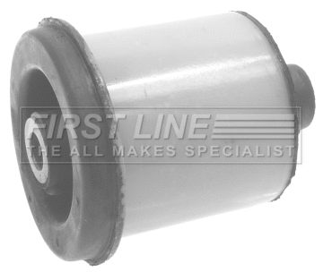 Bushing, axle beam (FSK7549)