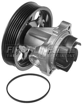 Water Pump, engine cooling (FWP2032)