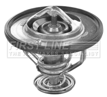 Thermostat, coolant (FTK466)