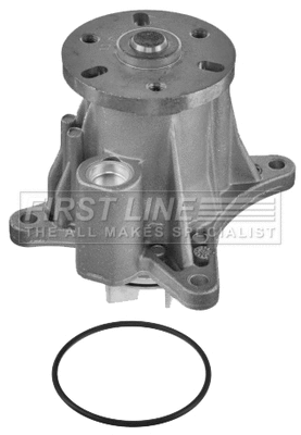 Water Pump, engine cooling (FWP2287)