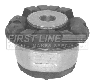 Bushing, axle bracket (FSK6670)