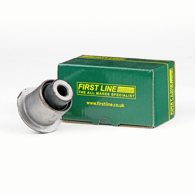 Mounting, control/trailing arm