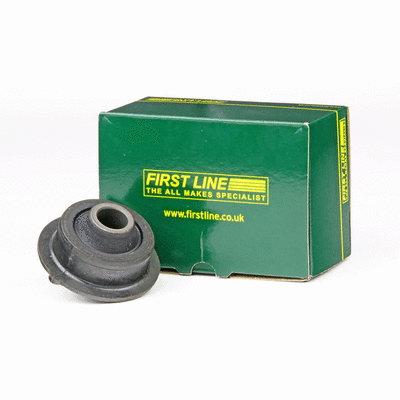 Mounting, control/trailing arm