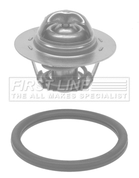 Thermostat, coolant (FTS583.75)