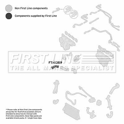 Charge Air Hose (FTH1389)