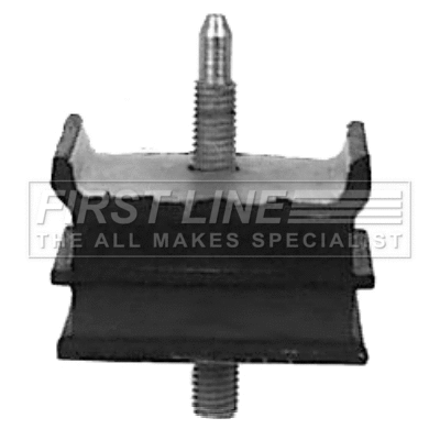Bushing, axle bracket (FSM2005)
